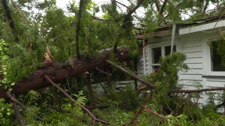 The tree had fallen straight onto the house, causing significant damage.