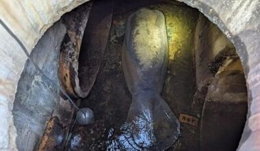 Florida Manatee Rescued From Drainage Pipe After Dramatic Operation