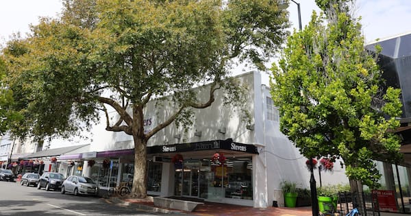 Nelson CBD trees get the axe, three times as many to be planted