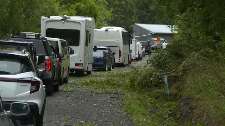 Trees hold up traffic on Manawatū state highways.