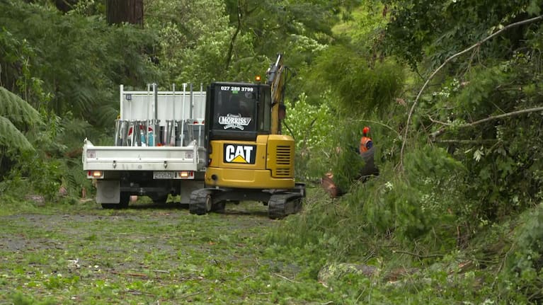 Trees hold up traffic on Manawatū state highways.