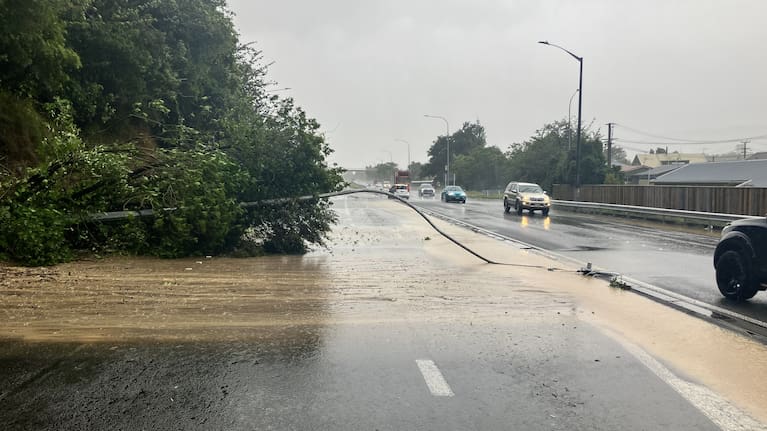 Two lanes of State Highway 2 were blocked by a fallen tree.