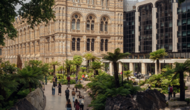 Pale stone older building with glass arch windows and a modern black glass building attached