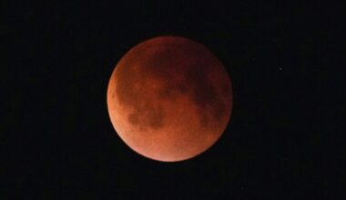 Hawaiʻi Skies: Total lunar eclipse in the early hours of March 3
