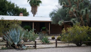 How the use of AI and 'deepfakes' play a role in the search for Nancy Guthrie : NPR