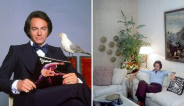 a split screen with neil diamond on the left and his living room in the '80s on the right