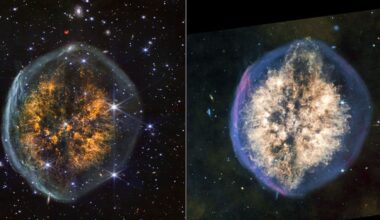 James Webb Space Telescope performs brain surgery on mysterious 'Exposed Cranium Nebula'
