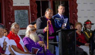 Deputy PM booed and heckled at Waitangi service