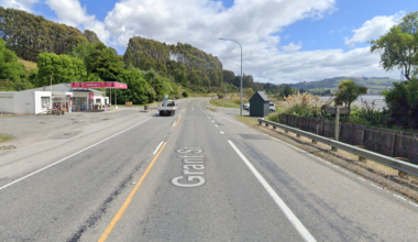 Confused pedestrian clipped by truck on dark Dunedin highway
