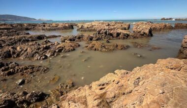 Wastewater being discharged into Cook Strait again after sewage leak