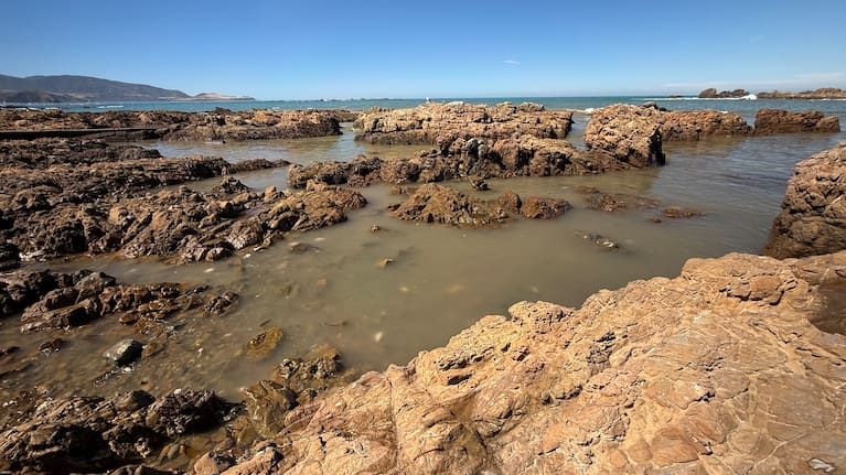 Waste water in the sea at Tarakena Bay in Wellington 