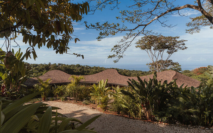 daytime views reveal how the wavy roof emerges from the surrounding landscape