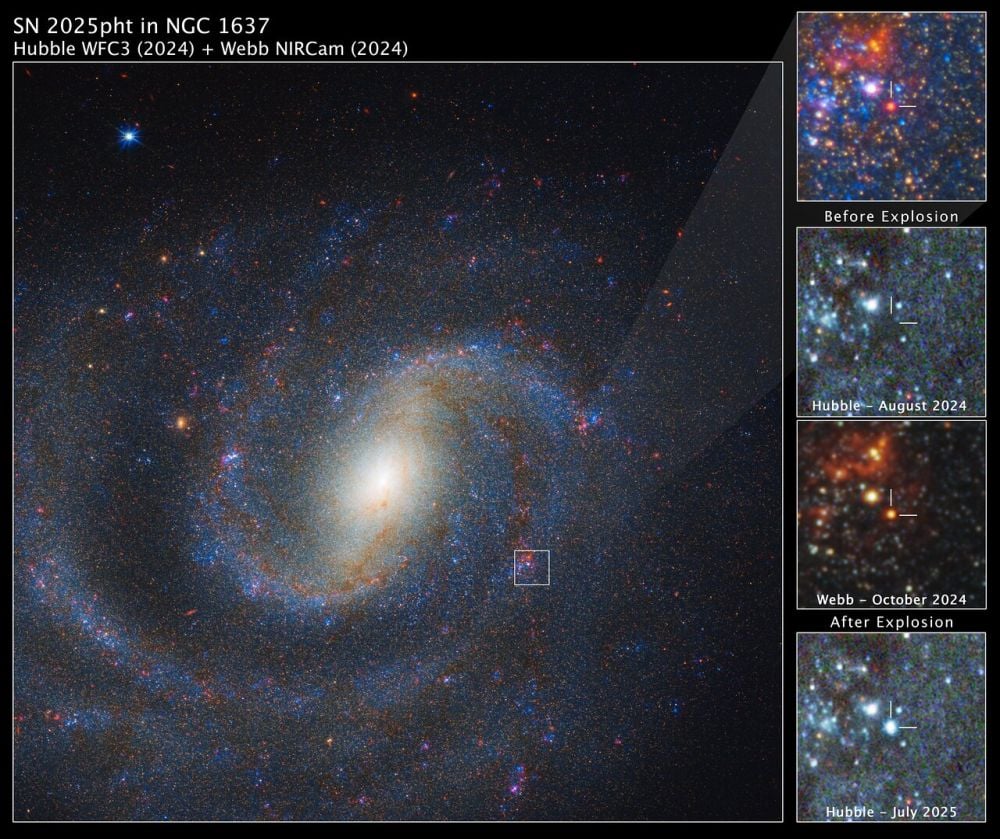 The main image is a combined Hubble/JWST image of a supernova in NGC 1637. The remaining three panels are zoom-ins that show a detailed view of a red supergiant star before and after it exploded. The star is not visible in the Hubble image before the explosion, but appears in the Webb image. The July 2025 view from Hubble shows the glowing aftermath of the explosion. Image Credit: NASA, ESA, CSA, STScI, C. Kilpatrick (Northwestern), A. Suresh (Northwestern); Image Processing: J. DePasquale (STScI)