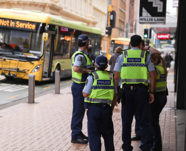 Photo: RNZ / Samuel Rillstone