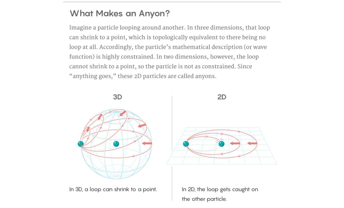 What Makes An Anyon