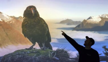 Photo competition entries nearly double