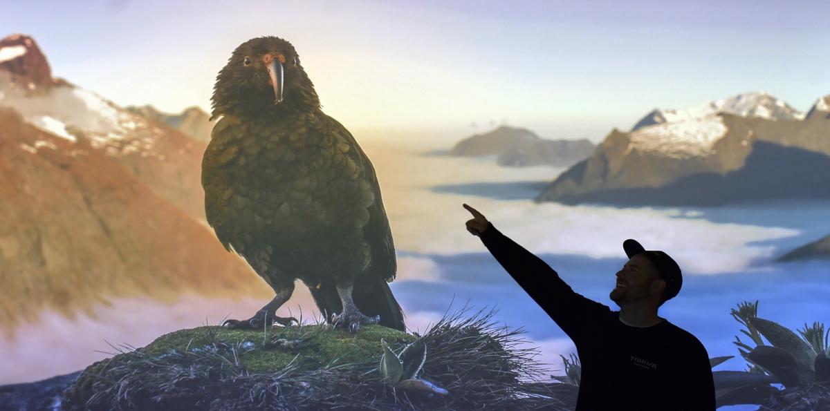 Photo competition entries nearly double