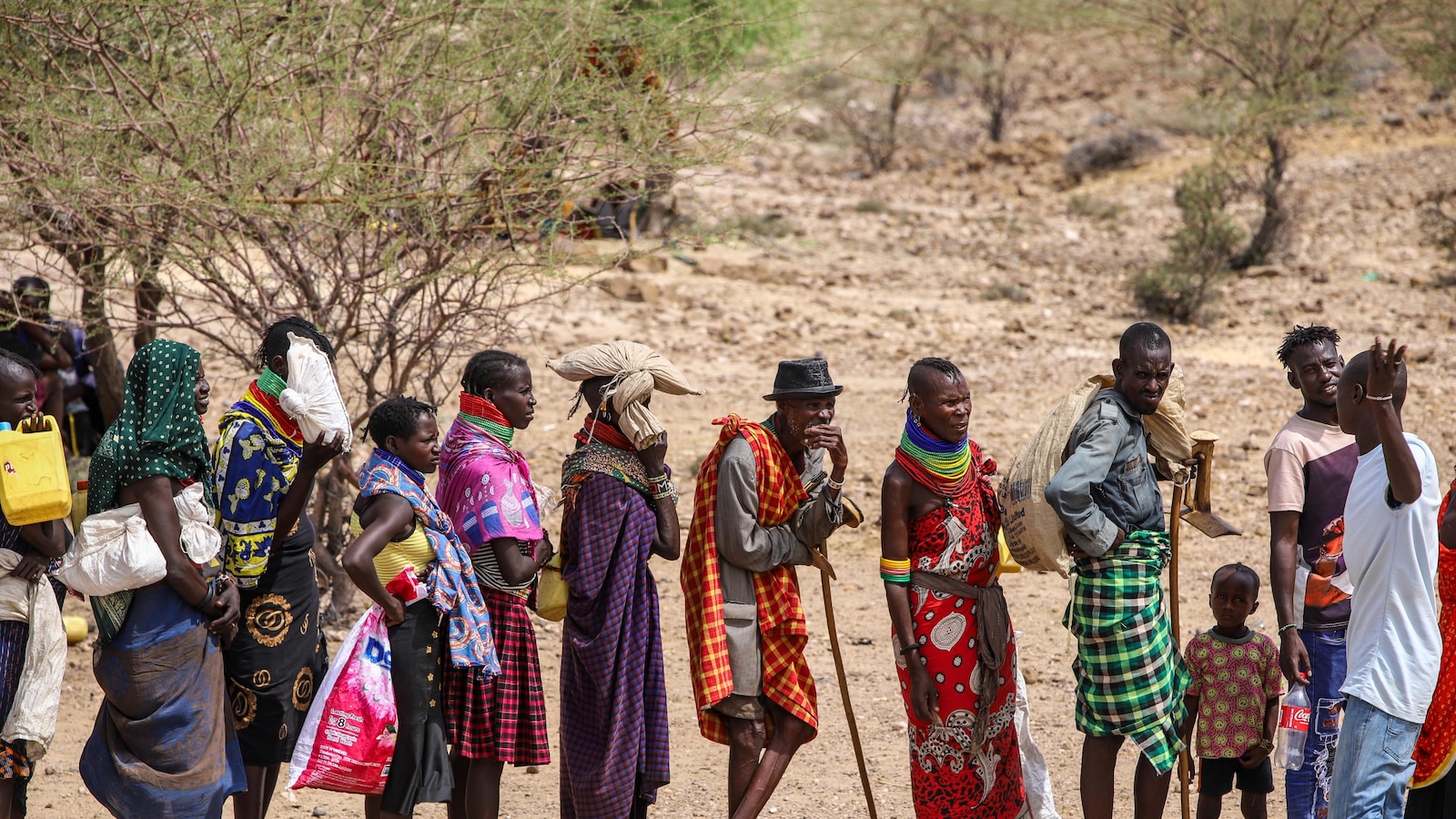 Animals dying in Kenya as drought conditions leave many hungry