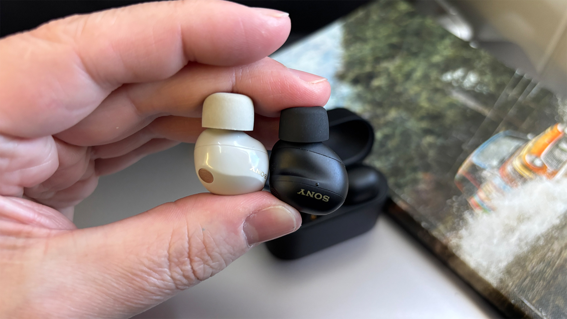 Sony WF-1000XM6 wireless earbuds