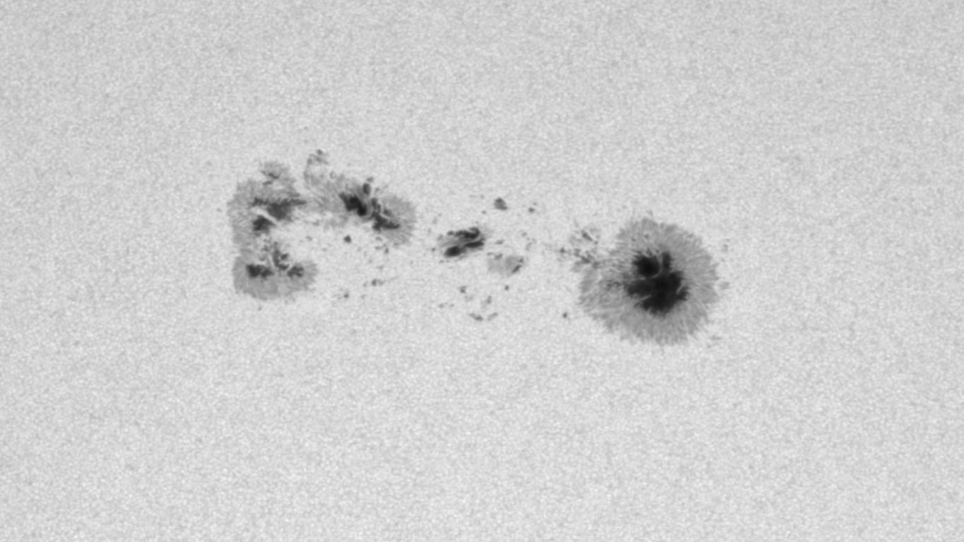 Dark sunspots are visible in a close-up view of the solar surface, which appears white.