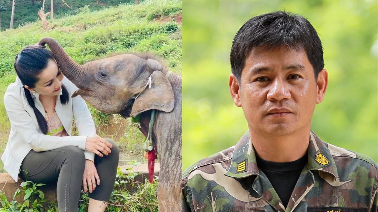 Kanchana Silpa-archa and Chaiwat Limlikitaksorn, critics of elephant relocation case