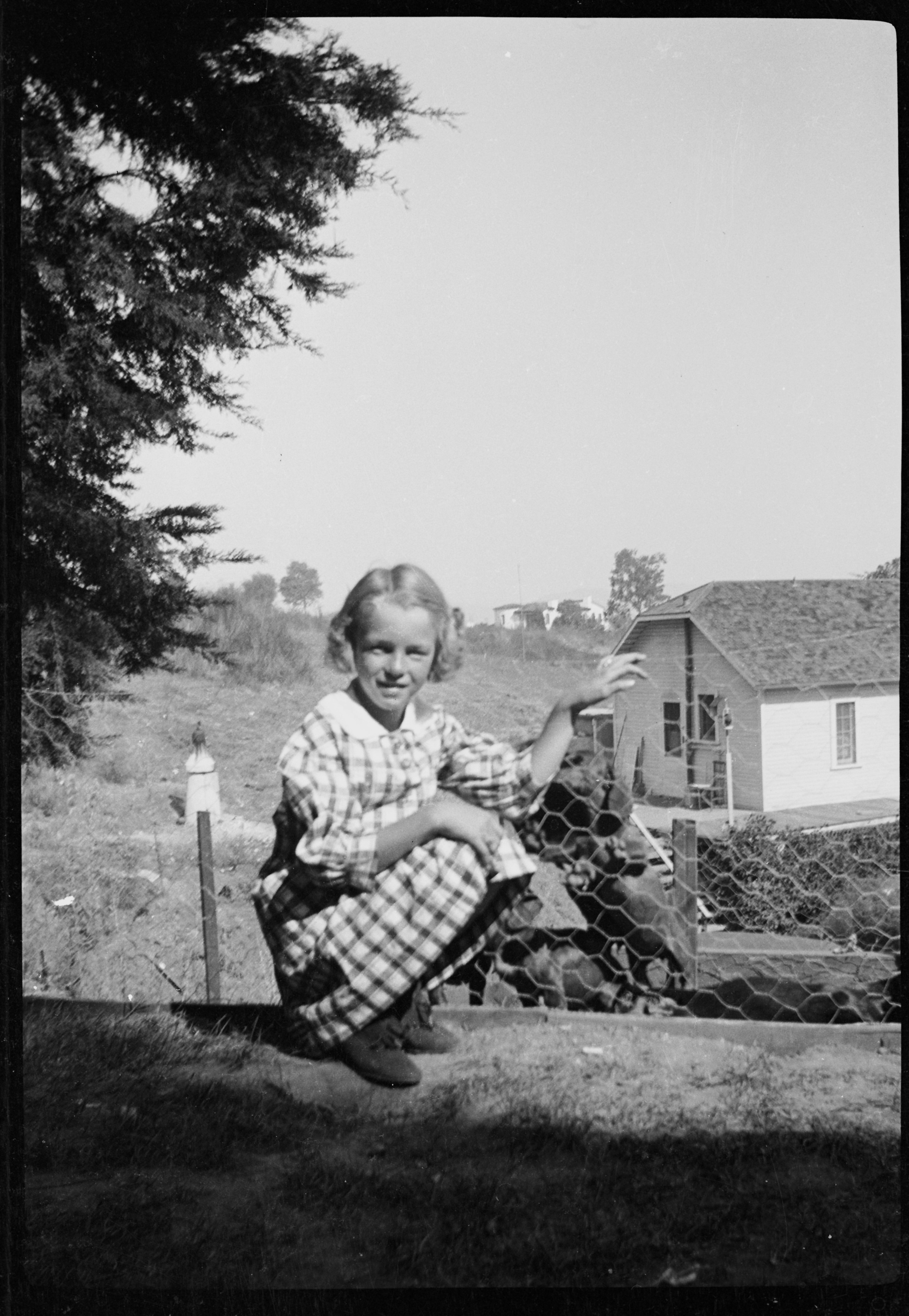 Young Norma Jeane Baker, later Marilyn Monroe, crouching by a wire fence with dogs in a rural garden.