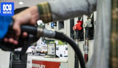 New fuel standards will see higher levels of sulphur in Australia's petrol. What does that mean for your car?