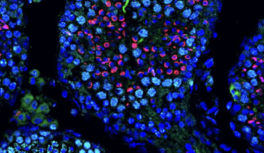 The Medicine Maker | mRNA Expands into Fertility Medicine