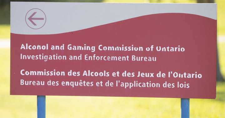 More young men contacting Ontario gambling helpline, new study finds