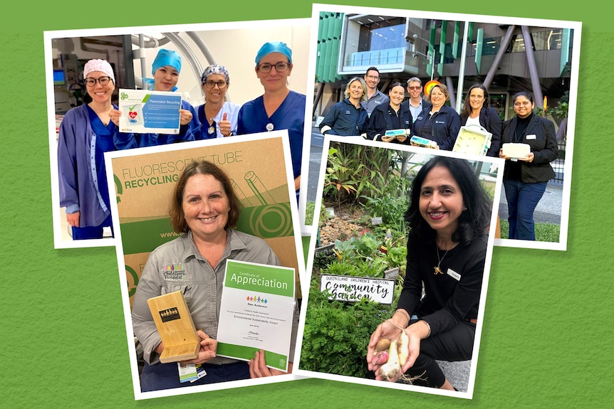 A collage of four photographs showing smiling staff with a range of eco initiatives.