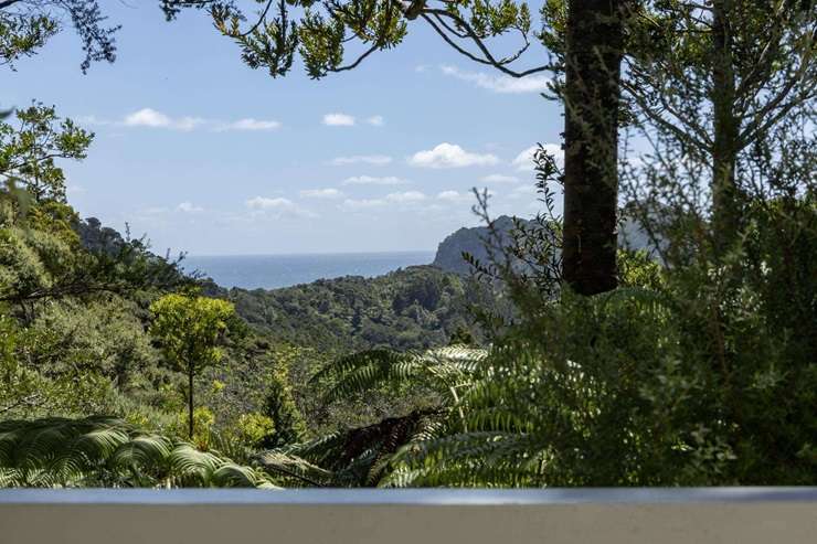 Film-maker Brendan Donovan is selling 101-103 Lone Kauri Road, in Auckland's Karekare. It used to belong to Kiwi literary great Allen Curnow. Photo / Supplied