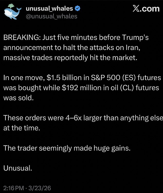 The trades were spotted by the X account Unusual Whales which specializes in tracking 'unusual' trading activity