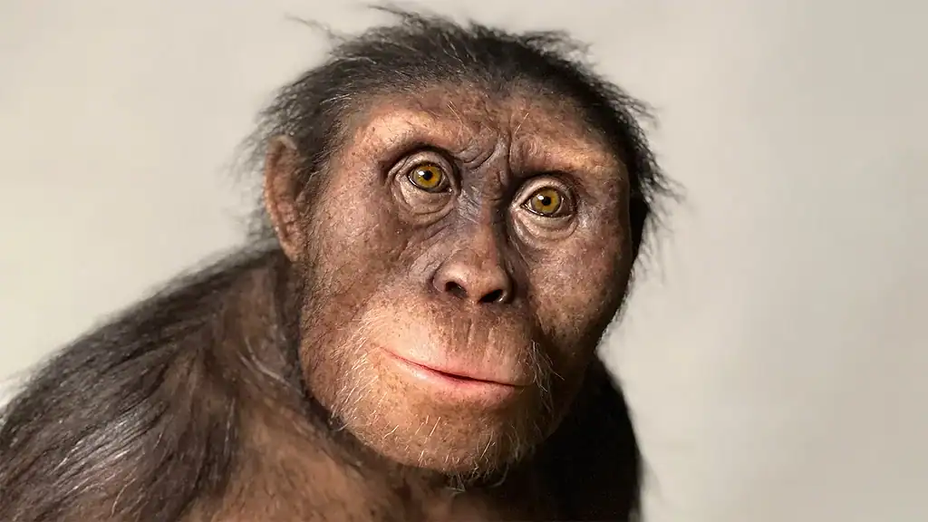 A Reconstruction of Lucy Hominid close-up portrait with detailed facial features and expressive eyes.