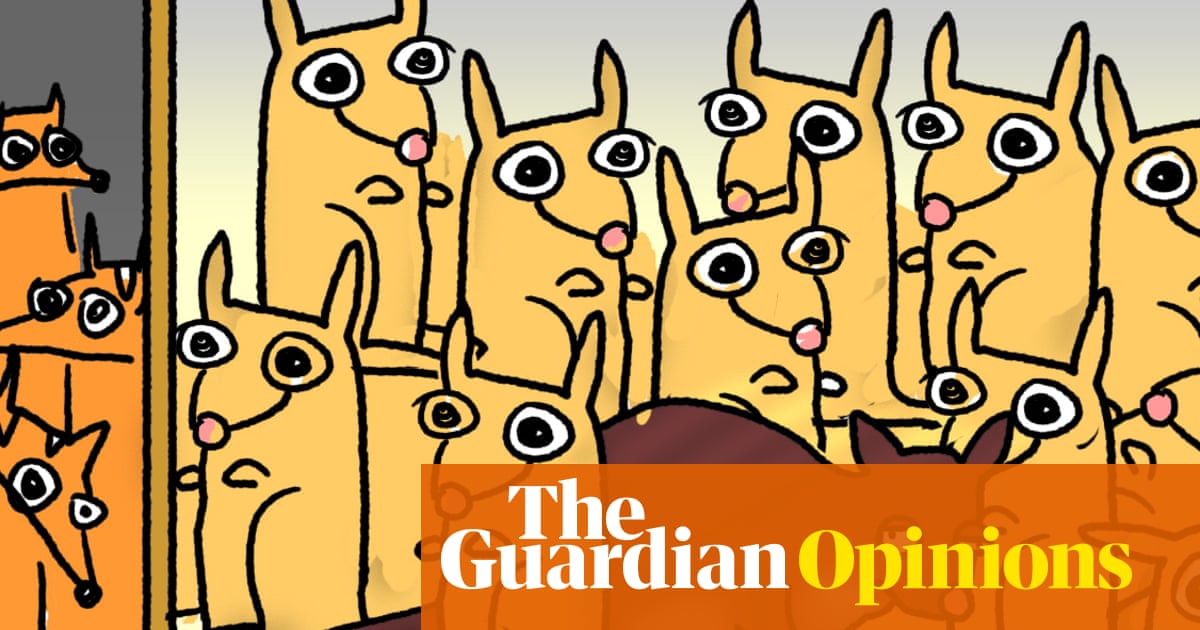 Adorable alert! A Tasmanian possum has fallen asleep among the soft toys in an airport gift shop - The Guardian