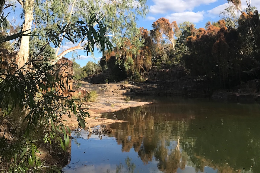 A body of water, green surface look, brown / beige rocks around it, overhanging gum trees, blue sky.