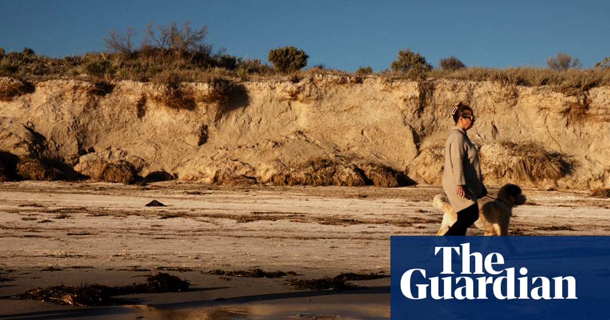 Stripped of life: the deadly South Australian algal bloom is still spreading one year on | Environment