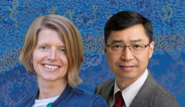 Huttenhain, Peng win HUPO awards