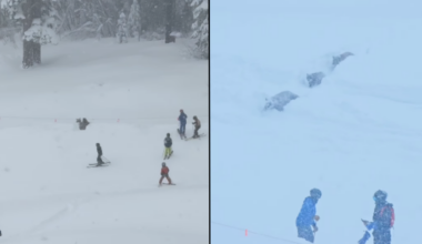 These Bears Ran Across a Packed Run at a Tahoe Resort