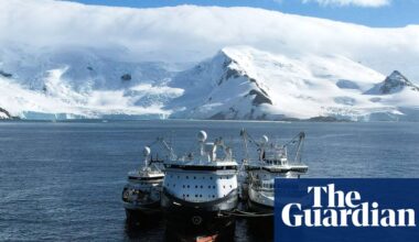 World’s largest krill harvester at centre of row over ‘blue tick’ sustainability label | Marine life