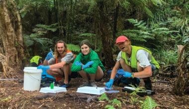SunLive - Enrolments open for new conservation training