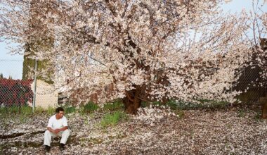 Life lessons from the legendary photographer Larry Sultan