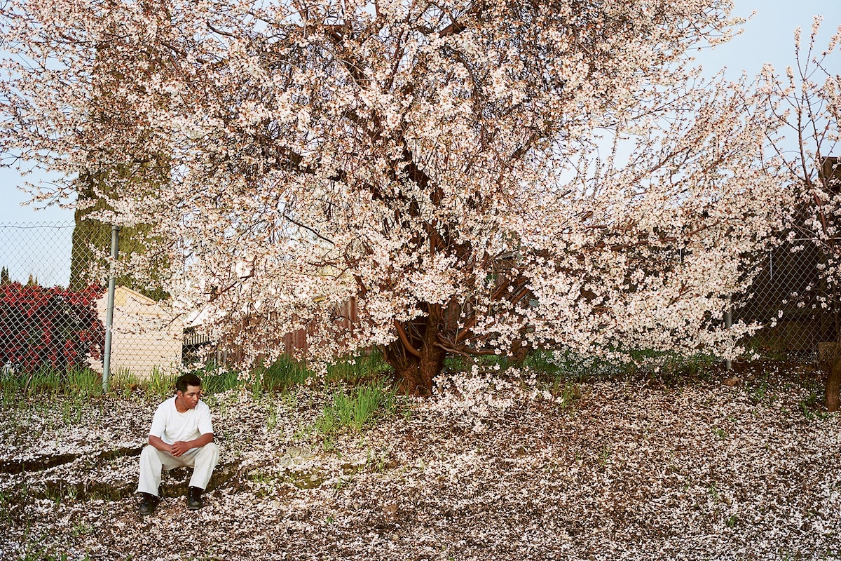 Life lessons from the legendary photographer Larry Sultan