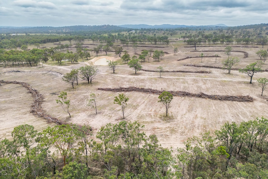 Warwick land clearing 3