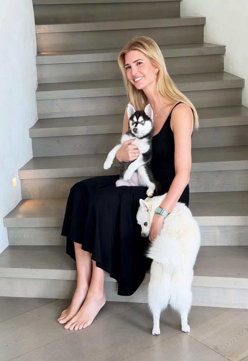 Aspen joins a growing menagerie at the Kushner-Trump household. Ivanka has long been known as a devoted dog lover, with a history of sharing her love of pets on social media. 