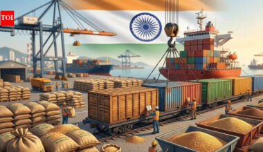 India’s basmati exports to be hit by Strait of Hormuz restrictions? Top 5 leading destinations from Middle East