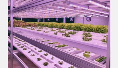 Using a small facility to make a big impact in a community