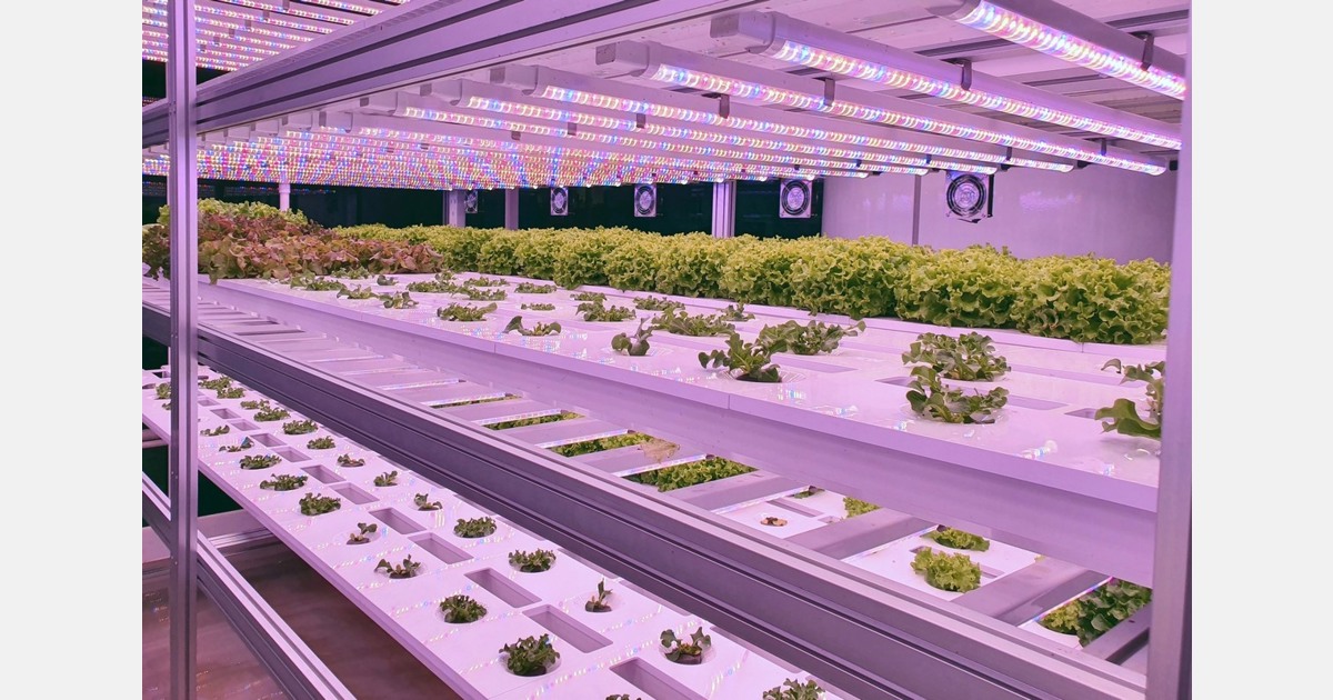 Using a small facility to make a big impact in a community