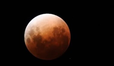 Photos show stunning blood moon above NZ skies