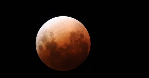 Photos show stunning blood moon above NZ skies