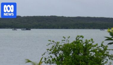 ABF intercept illegal fishers in Cape York river according to eyewitnesses